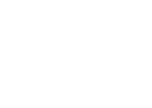 FAKTA